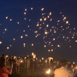 Meet your Posher, Elena